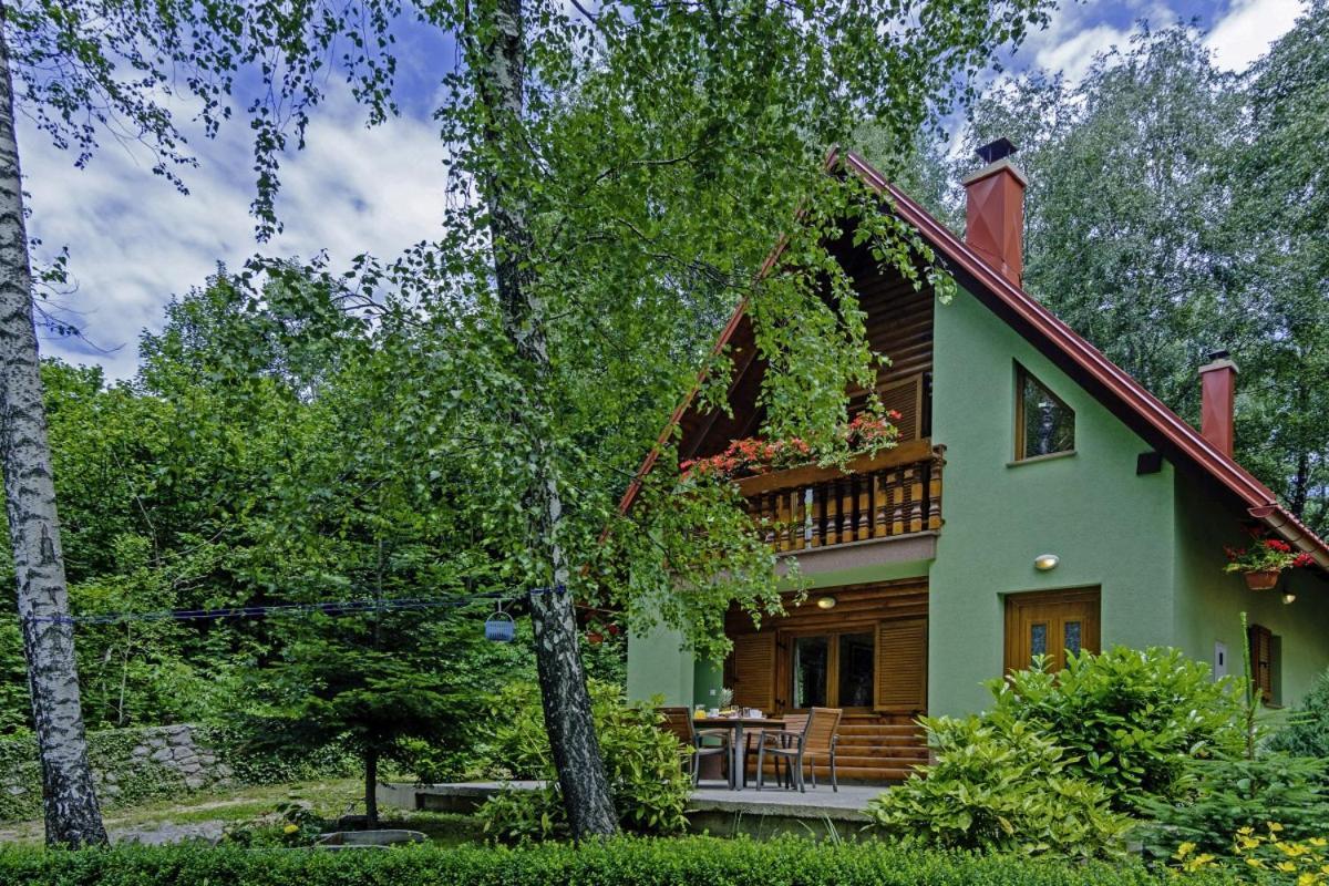 Bogo & Neno Chalet Ledenice